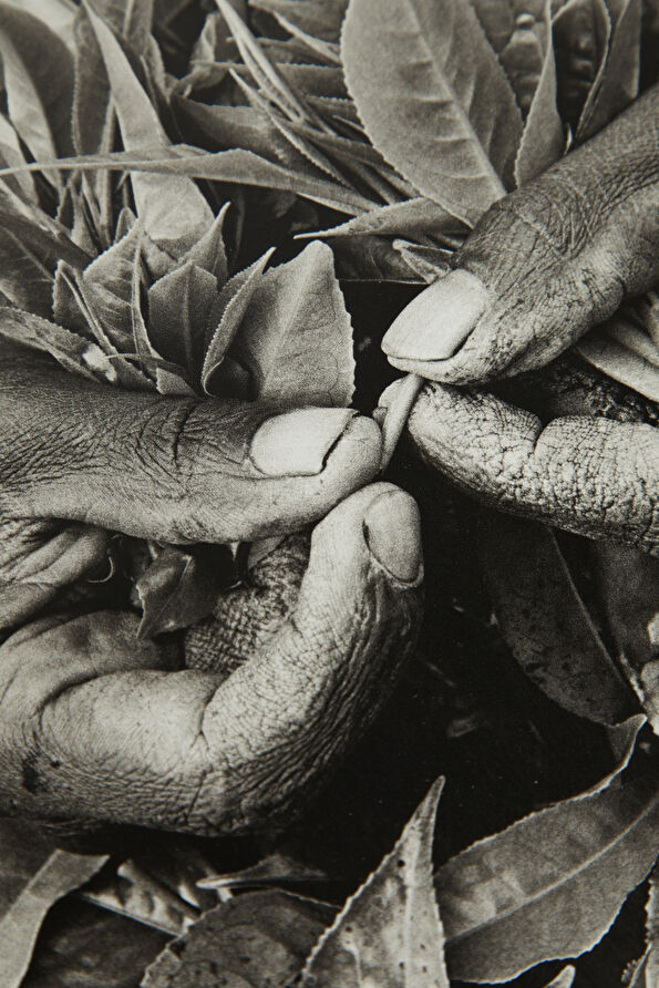 Vakkorama7 Vakkorama7