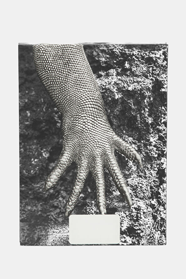 Vakkorama3 Vakkorama3