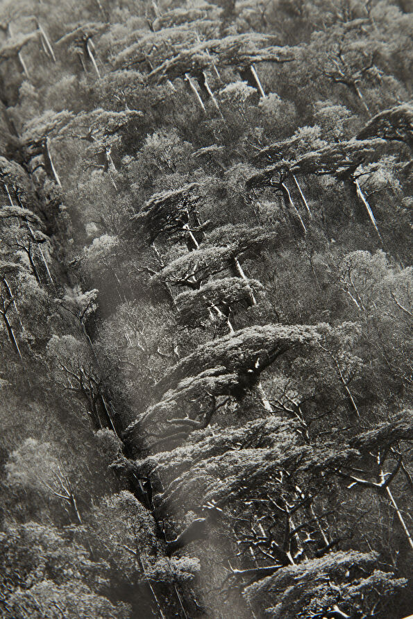 Vakkorama11