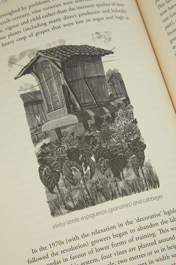 Vakkorama5 Vakkorama5