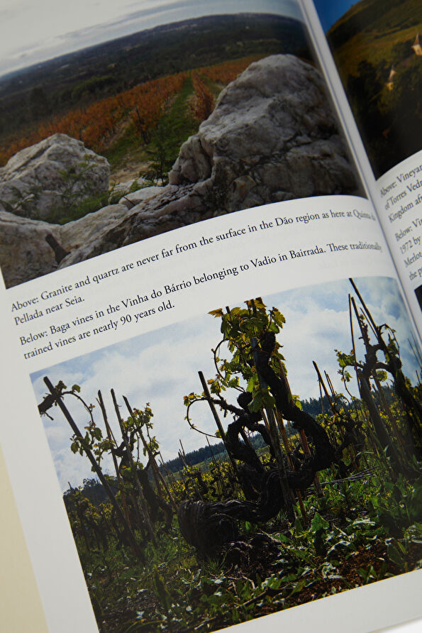 Vakkorama7 Vakkorama7