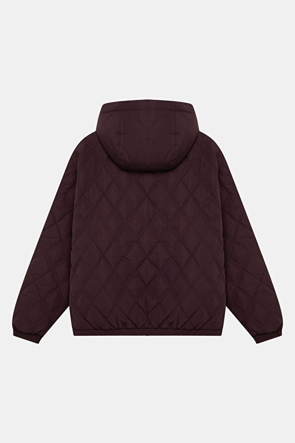 Vakkorama2 Vakkorama2