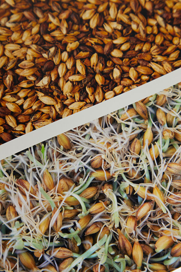 Vakkorama6 Vakkorama6