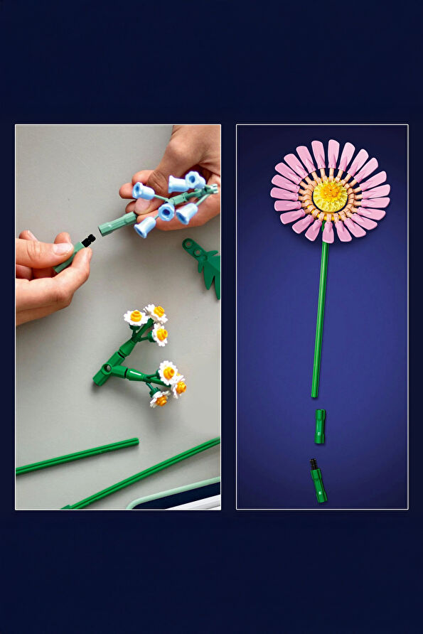 Vakkorama2 Vakkorama2