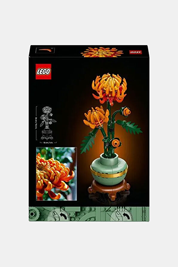 Vakkorama3 Vakkorama3