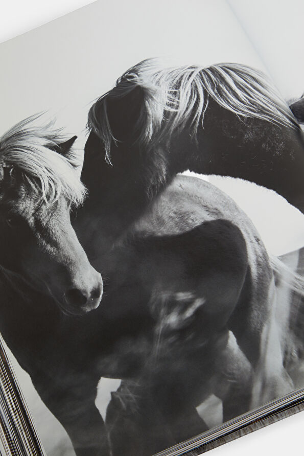 Vakkorama10 Vakkorama10