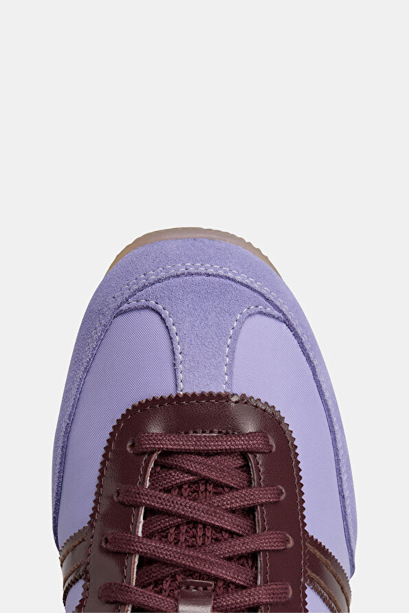 Vakkorama7 Vakkorama7