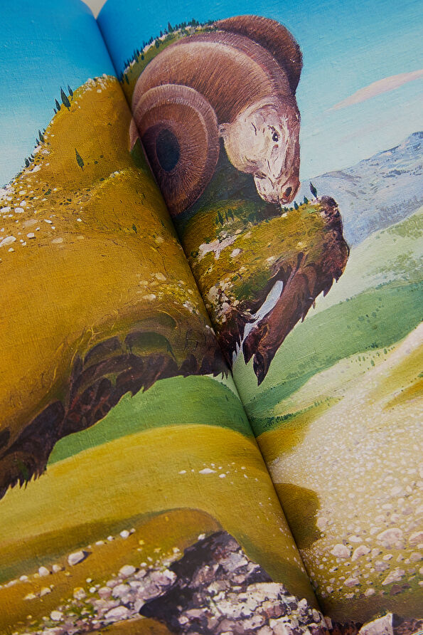 Vakkorama10 Vakkorama10