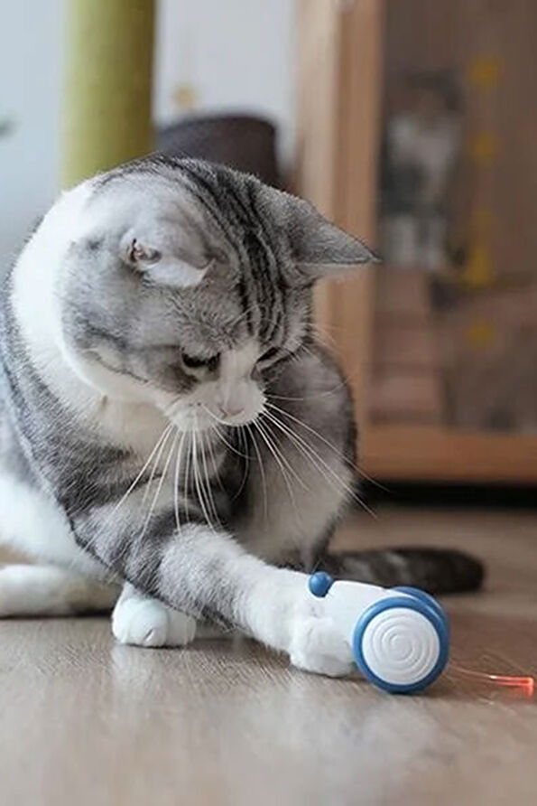 Vakkorama2 Vakkorama2