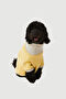 Yellow-Grey