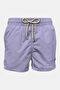 Lilac Lilac
