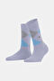 Light Blue-Grey