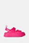 Fuchsia Fuchsia