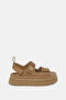 Light Brown