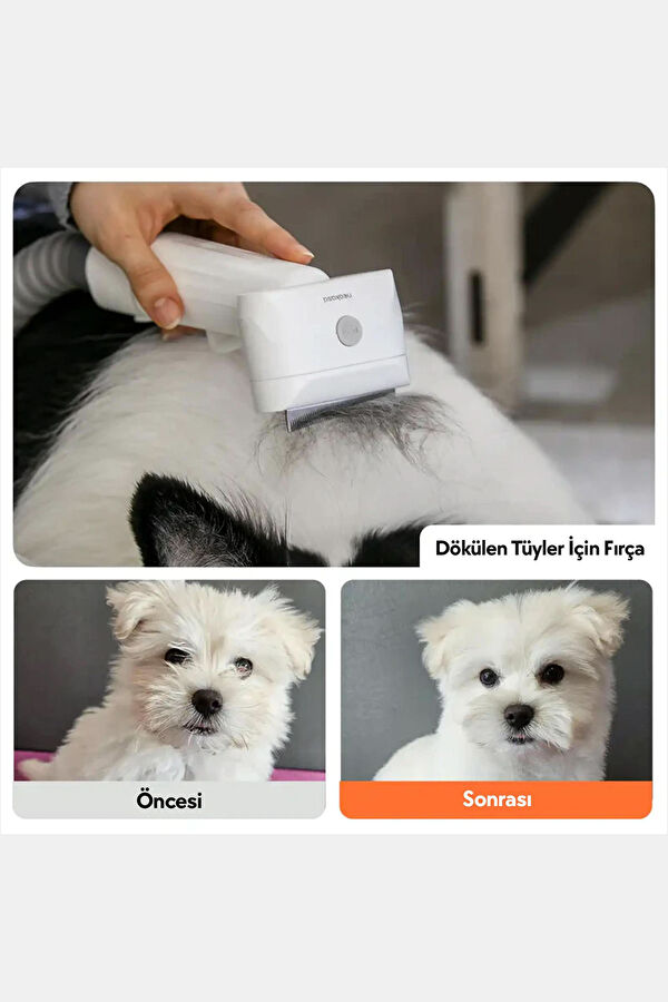 5 Başlıklı 3 Litre Kapasiteli Kedi & Köpek Tıraş Makinesi S1 PRO 5