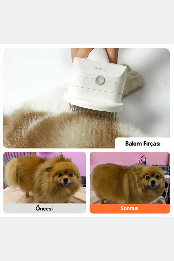 5 Başlıklı 3 Litre Kapasiteli Kedi & Köpek Tıraş Makinesi S1 PRO 7