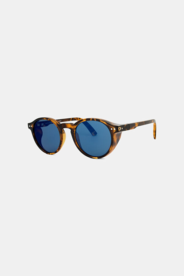 Dark Brown Sunglasses 2