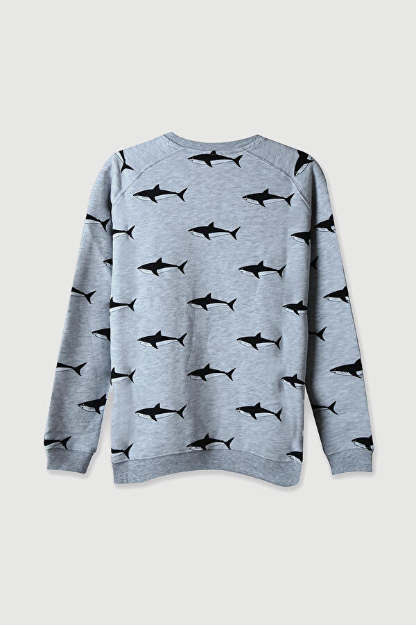 Shark Sweatshirt 2