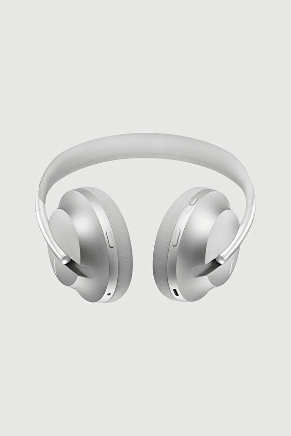 Silver Earphone