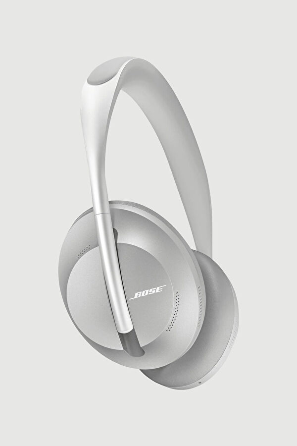 Silver Earphone 2