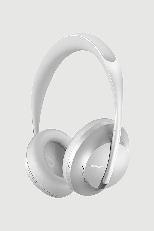 Silver Earphone 4