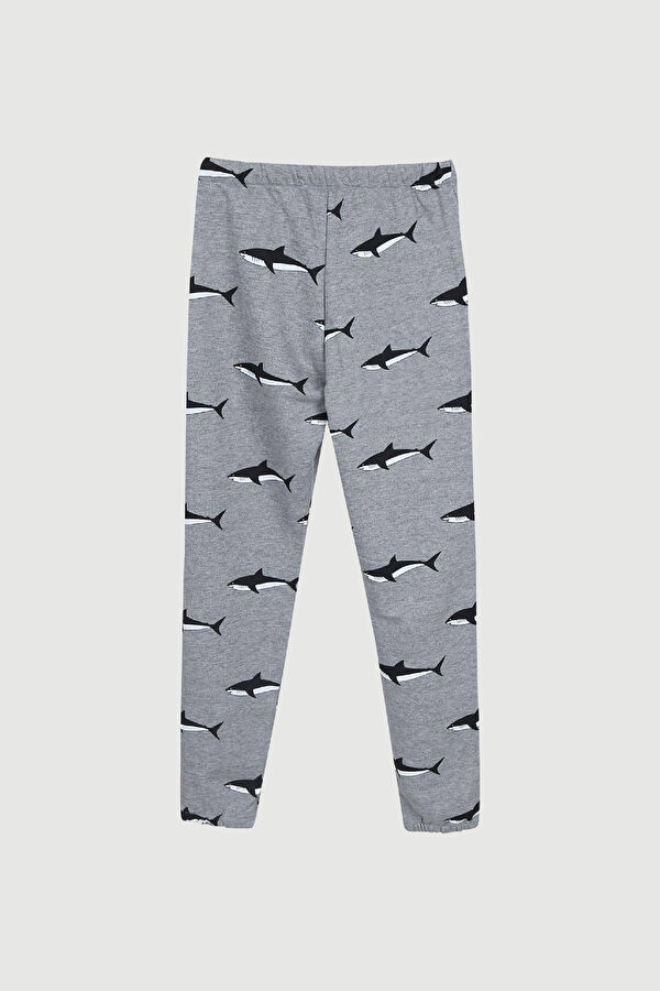 Shark Light Grey Spor Pantolon 2