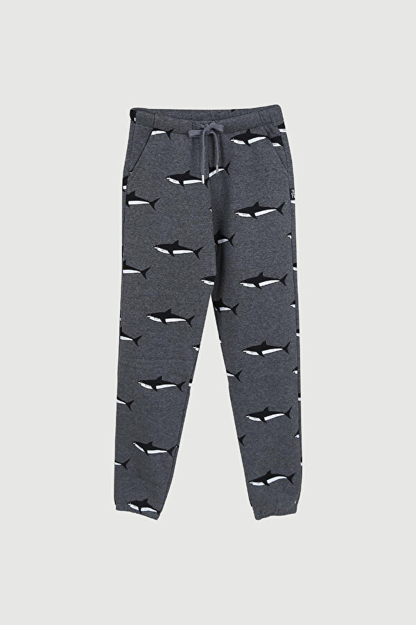 Shark Dark Grey Spor Pantolon