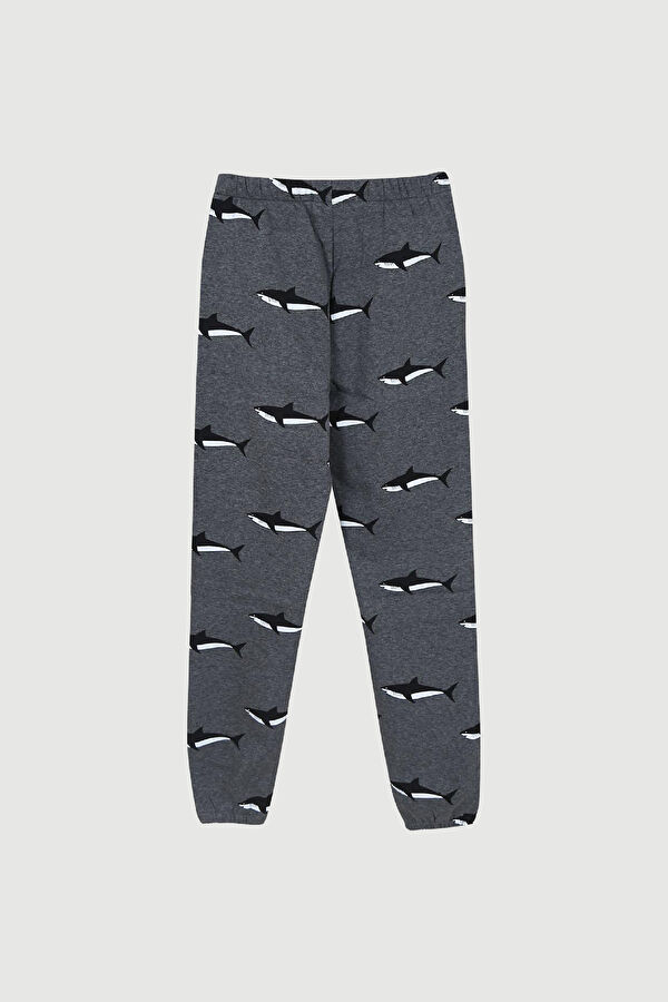 Shark Dark Grey Spor Pantolon 2