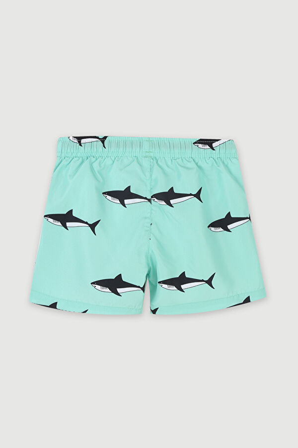 Shark Çocuk Mayo 2