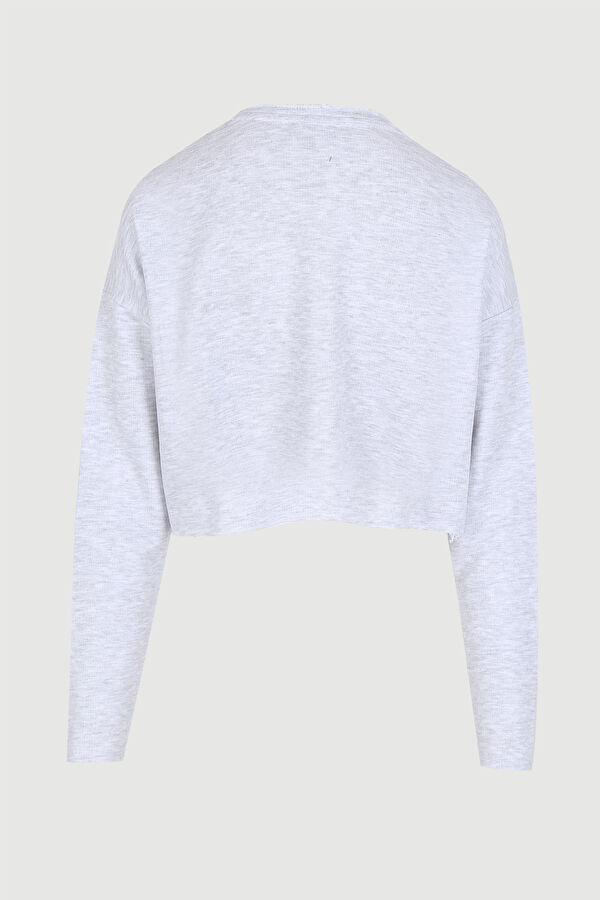 Sweatshirt 2