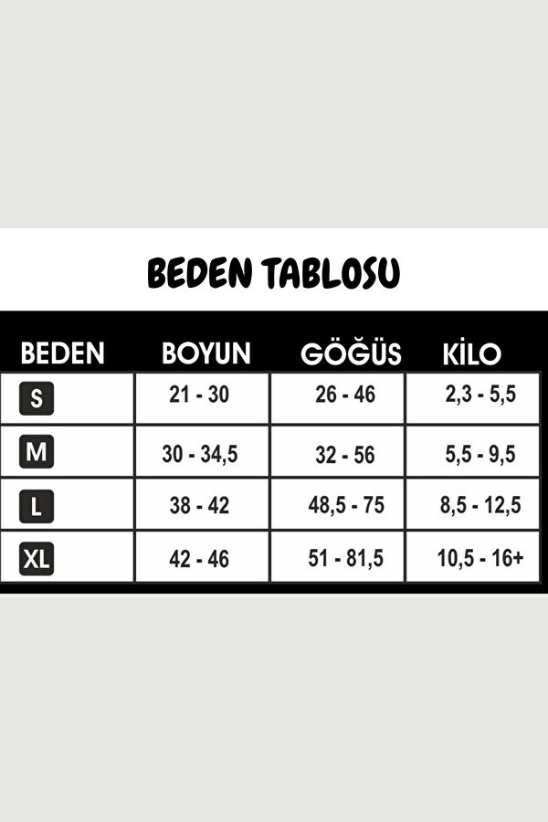 Tasma 6