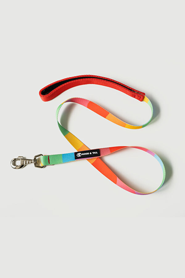 Multicolor Pet Accessory 2