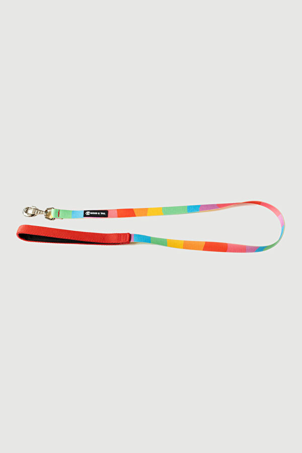 Multicolor Pet Accessory 3
