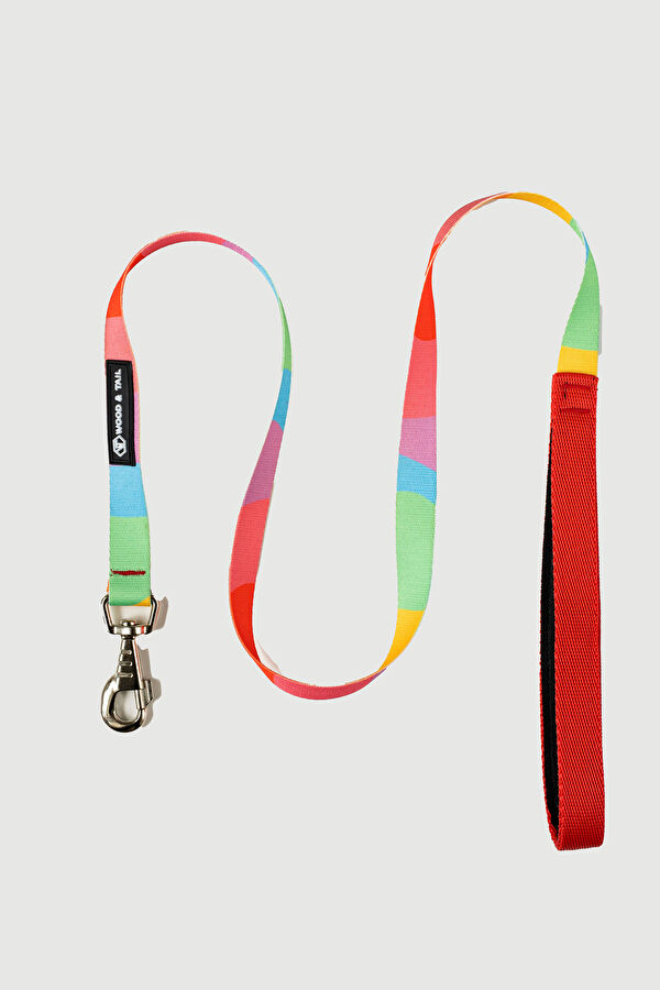 Multicolor Pet Accessory 4