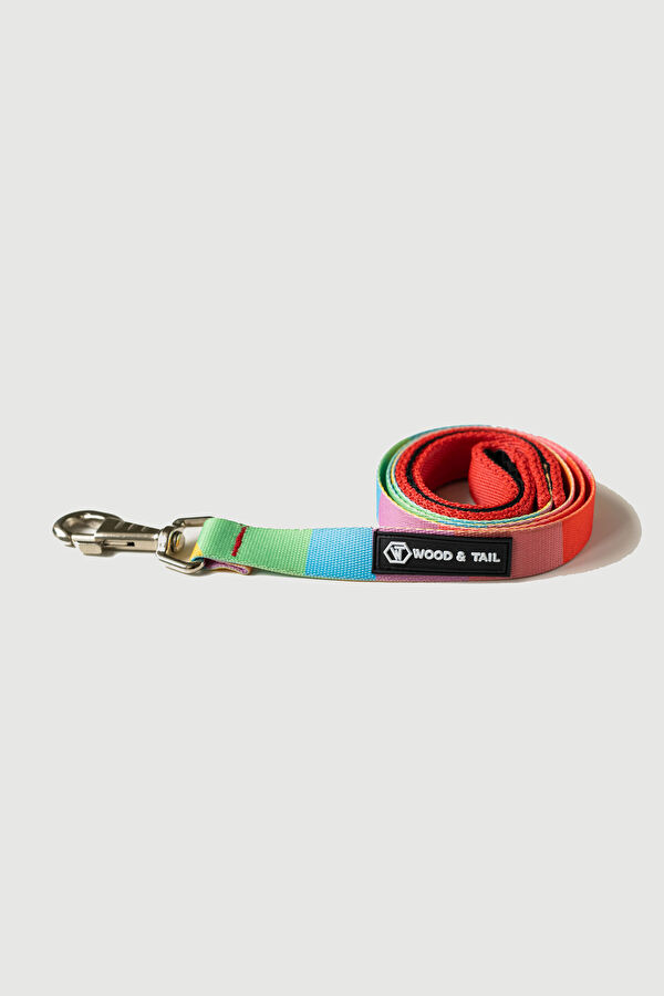 Multicolor Pet Accessory 5