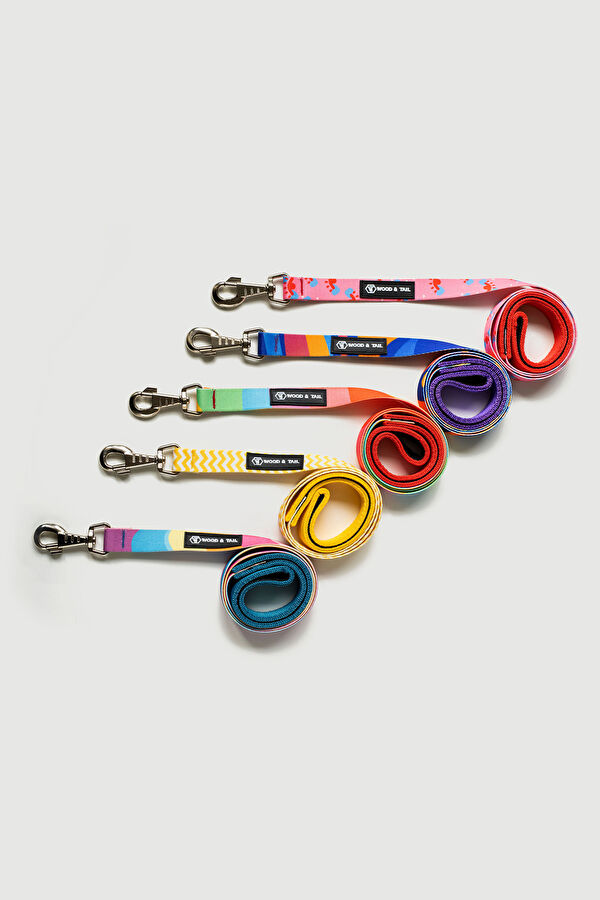 Multicolor Pet Accessory 6