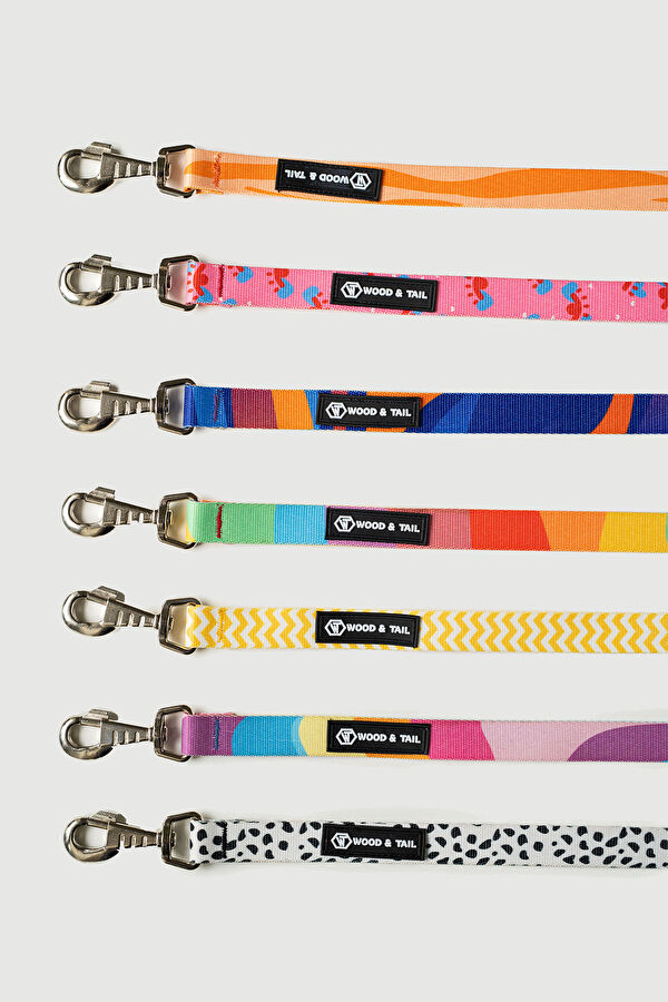 Multicolor Pet Accessory 7