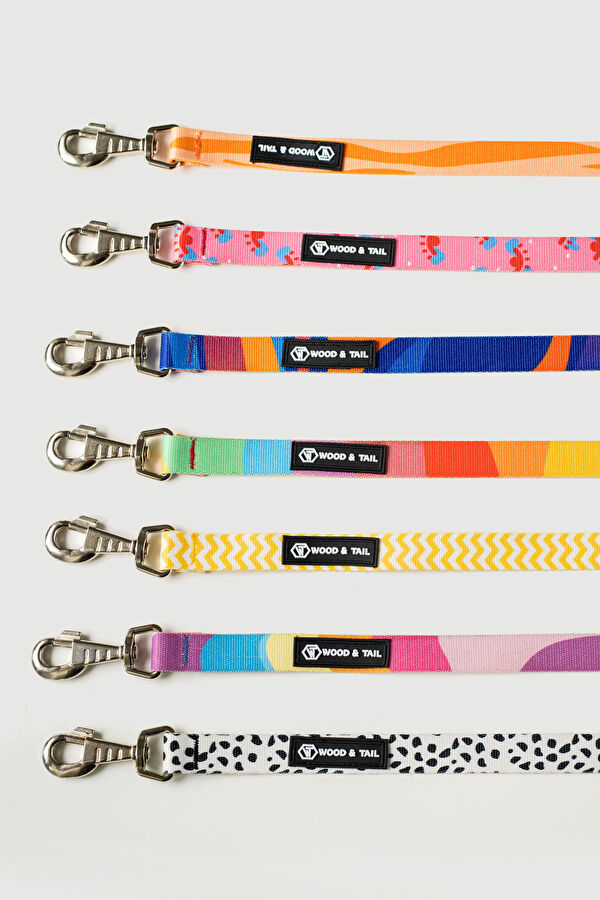 Multicolor Pet Accessory 8