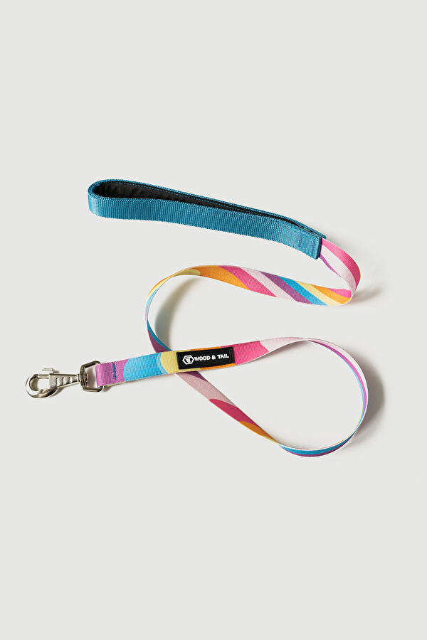 Pink Pet Accessory