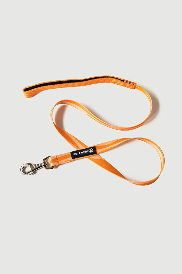 Orange Pet Accessory