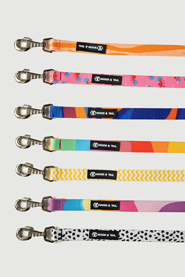 Orange Pet Accessory 2