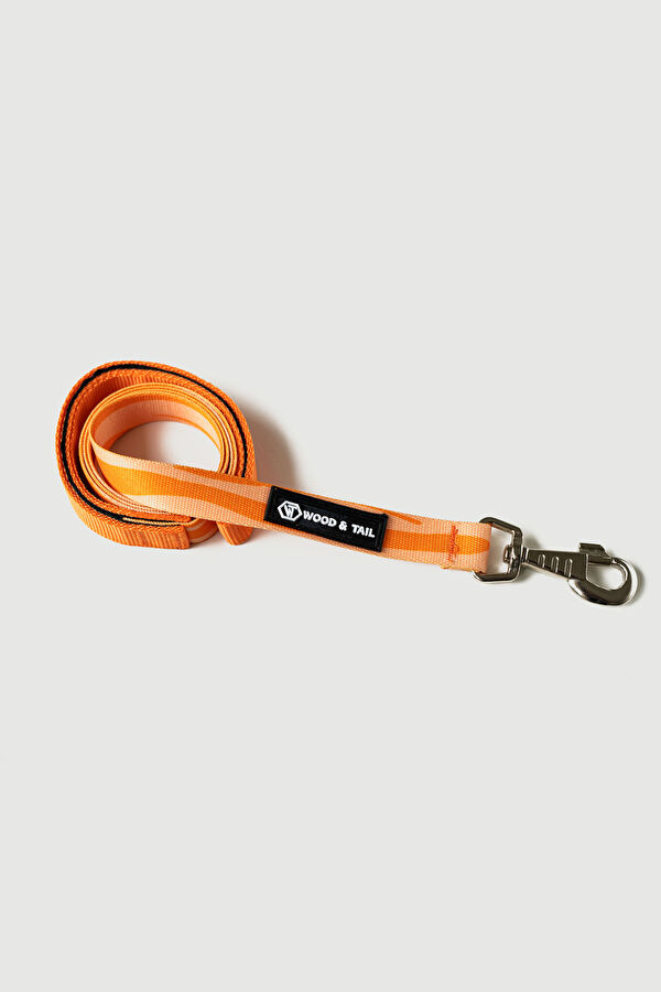 Orange Pet Accessory 3