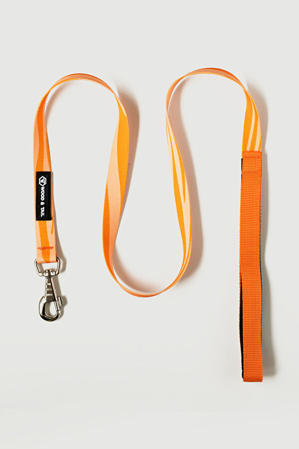 Orange Pet Accessory 4