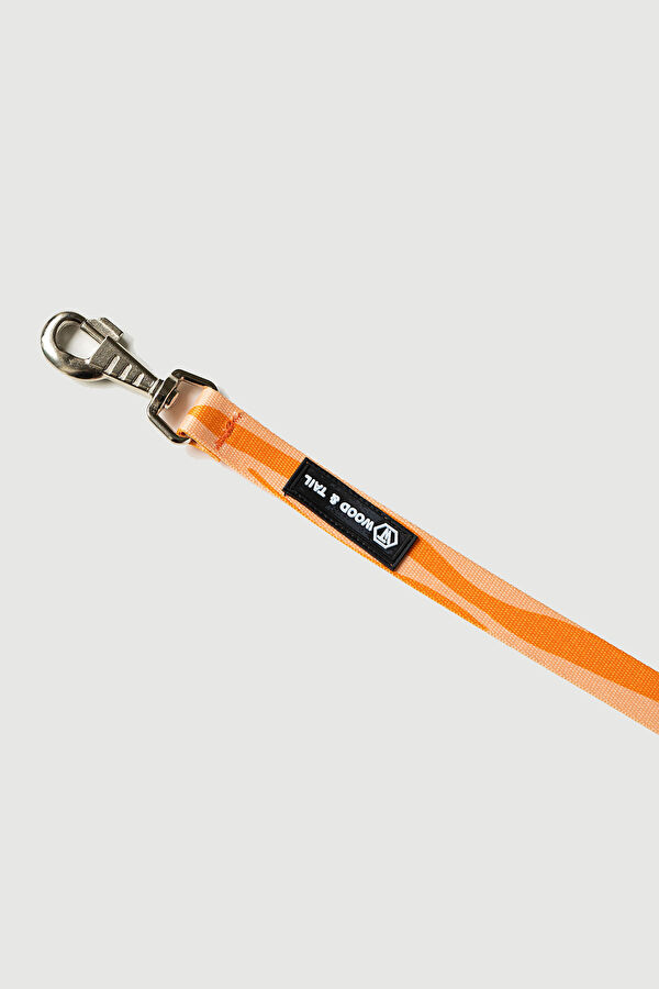 Orange Pet Accessory 5