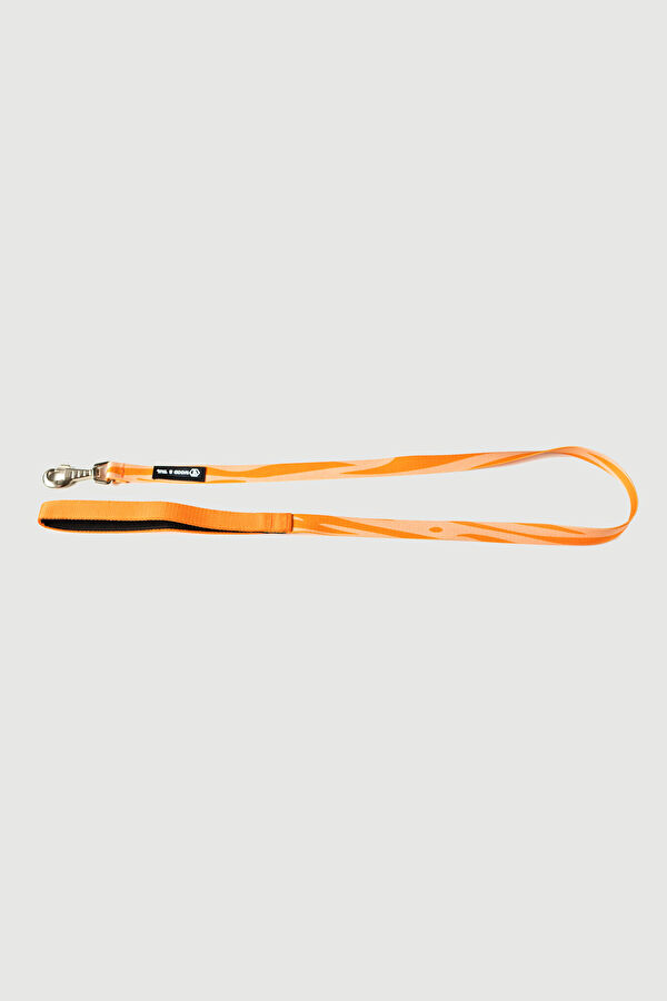 Orange Pet Accessory 6