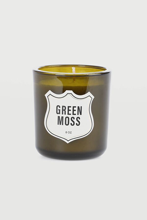 Green Moss Mum