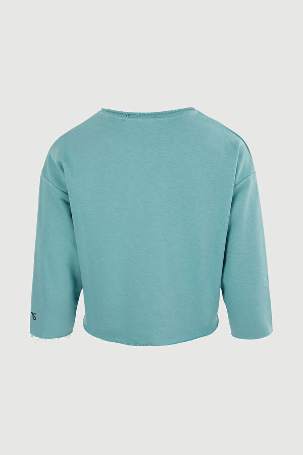 Sweatshirt 2