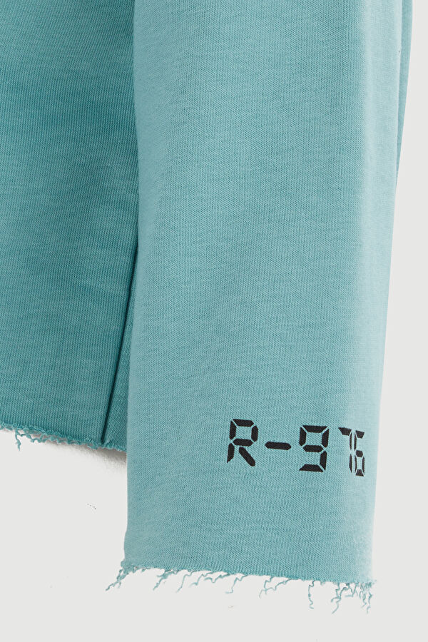 Sweatshirt 3