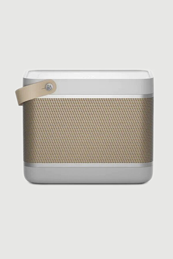 Grey Speaker 2