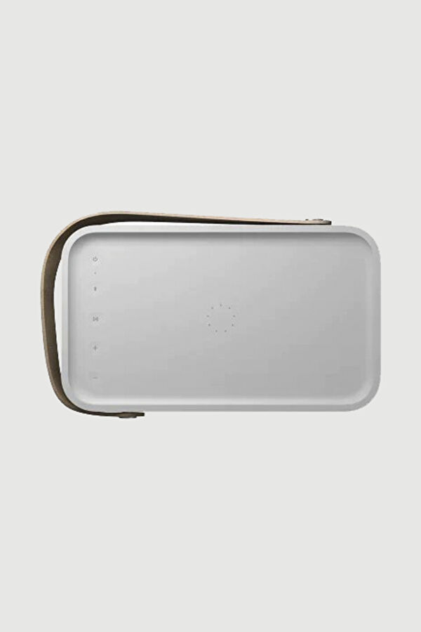 Grey Speaker 4